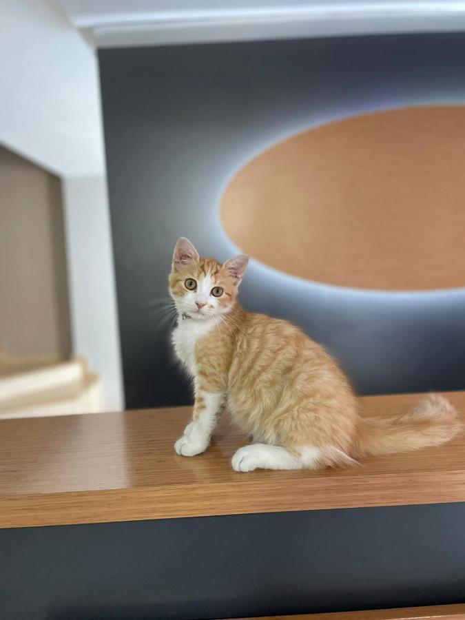 Hotel Otag Isztambul Kültér fotó